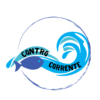 Logo Contro Corrente